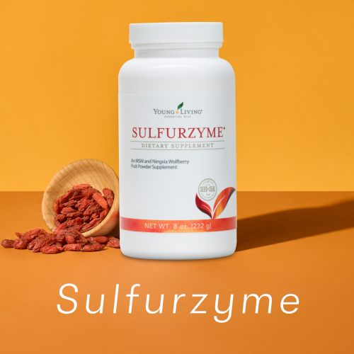 サルファザイム｜ずっと毎日元気に歩き続けたいあなたを応援