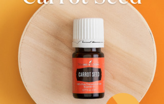 キャロットシードオイルが今だけ50%OFF！期間限定アウトレットセール