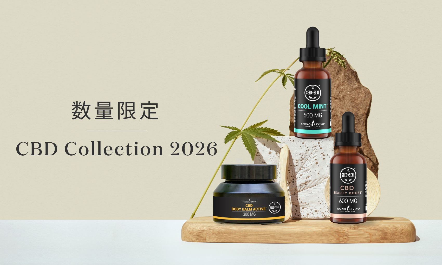 ご好評いただいたCBDコレクションが、今年も待望の再登場。