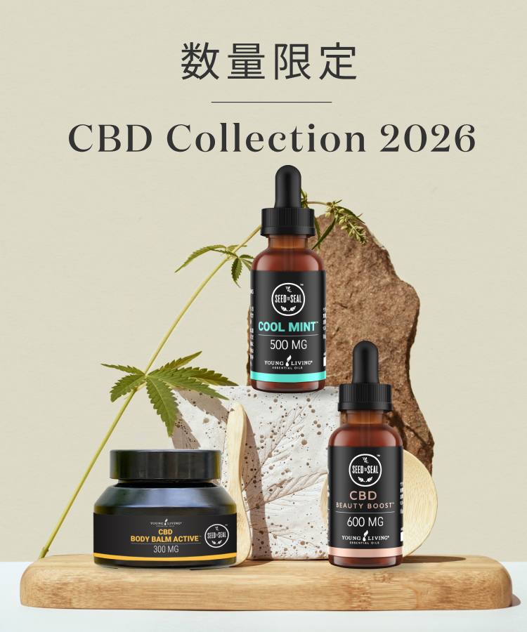 ご好評いただいたCBDコレクションが、今年も待望の再登場。