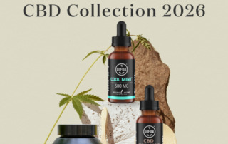 ご好評いただいたCBDコレクションが、今年も待望の再登場。