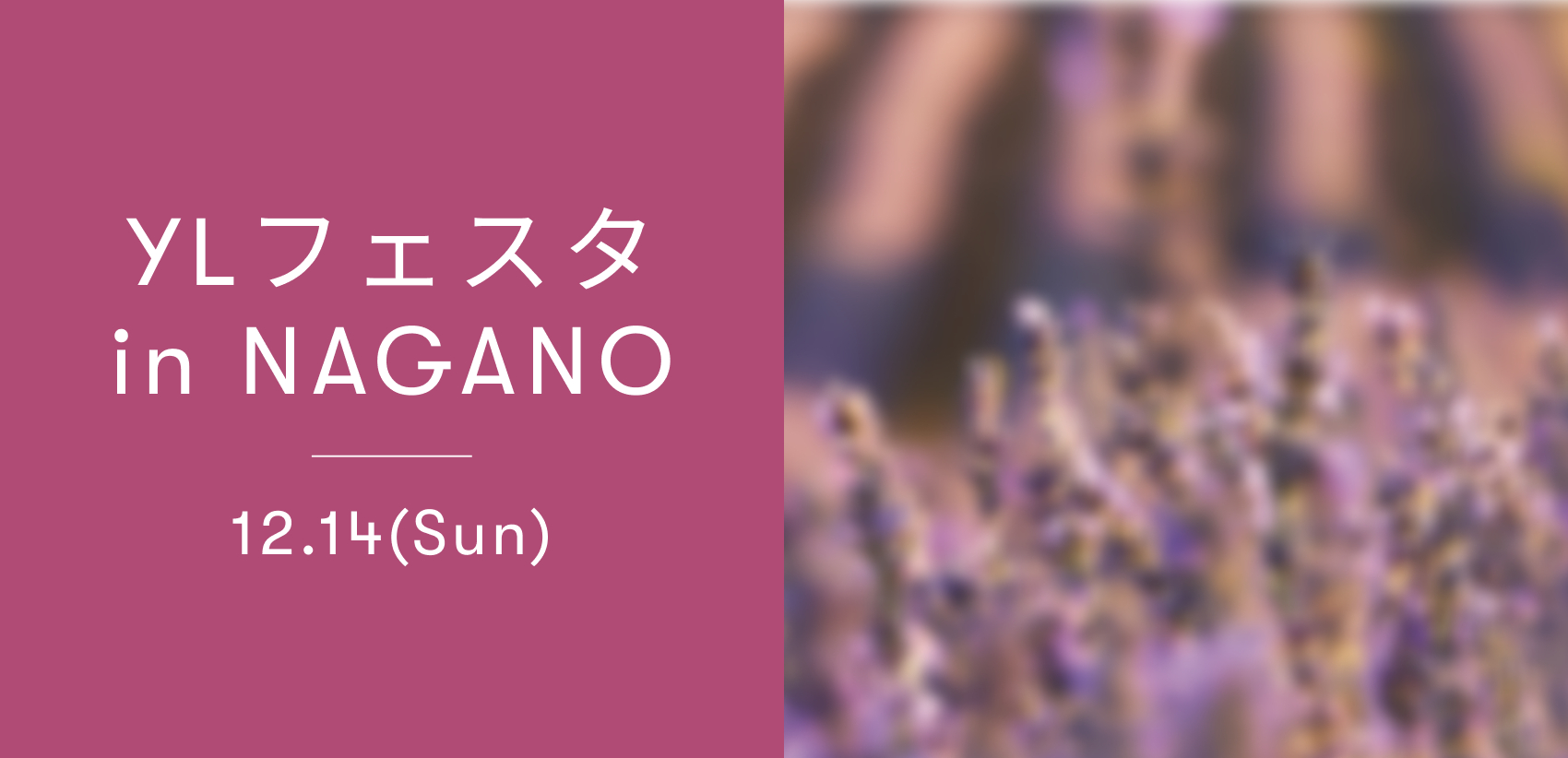 YLフェスタ12月のご案内 ｜ アロマ体験型イベント・YLフェスタを開催！