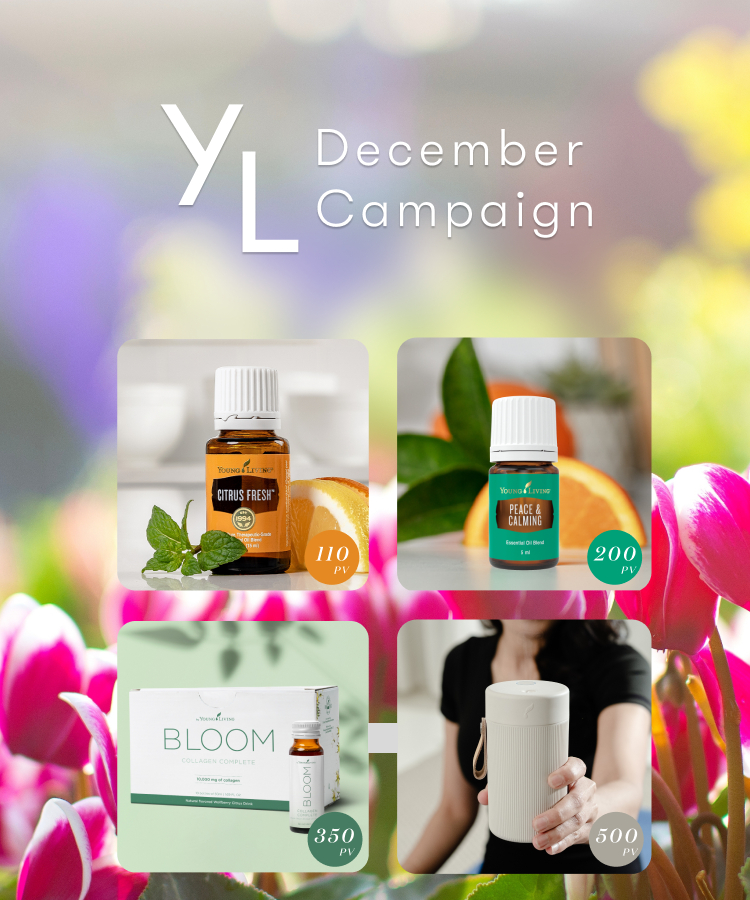 12月1日（月）〜25日（木）YLおトク便限定キャンペーン｜ホリデーシーズンにぴったりの香りとウェルネスアイテム