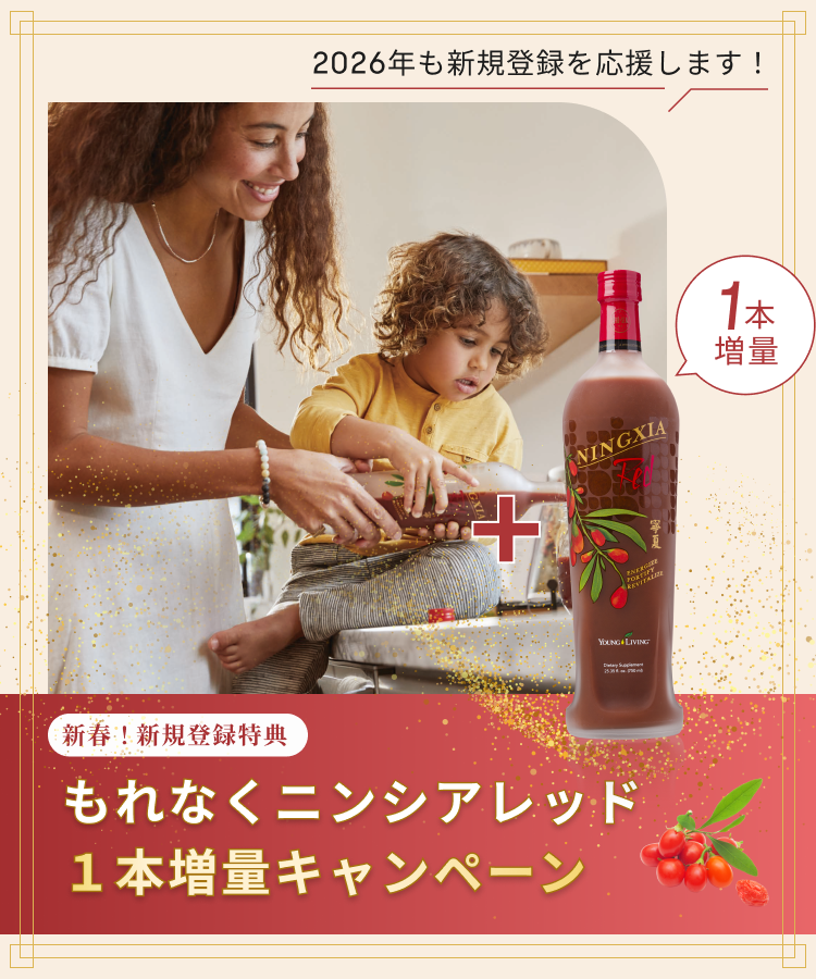 NINGXIA RED CAMPAIGN