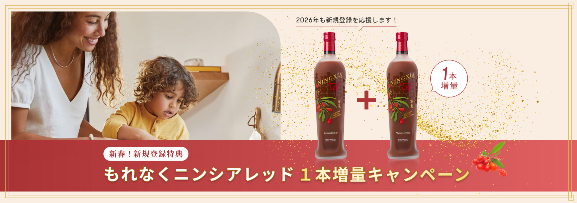 NINGXIA RED CAMPAIGN