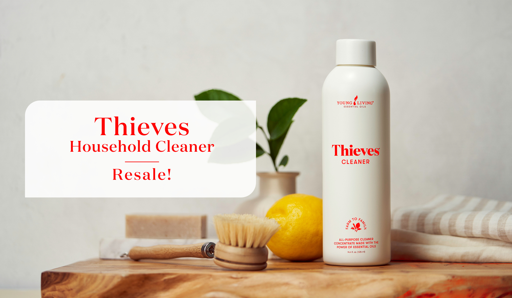 1月16日（金）9：30〜 シーブス ハウスホールドクリーナー再販のお知らせ