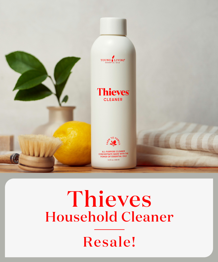 1月16日（金）9：30〜 シーブス ハウスホールドクリーナー再販のお知らせ