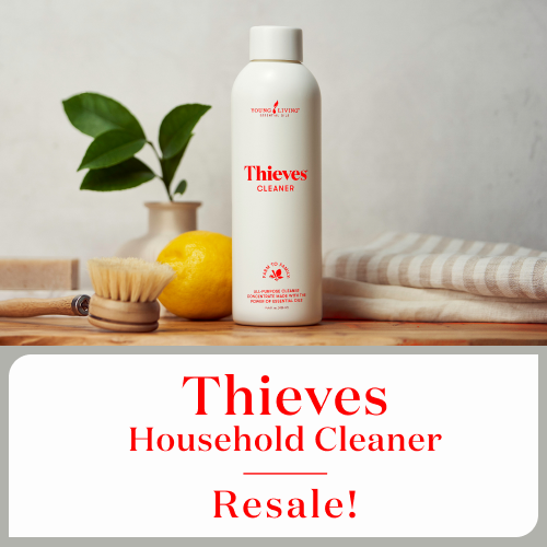 1月26日（金）9：30〜 シーブス ハウスホールドクリーナー再販のお知らせ