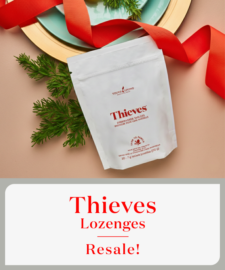 1月16日（金）9：30〜 ヤングシーブス ロージンズ再販のお知らせ