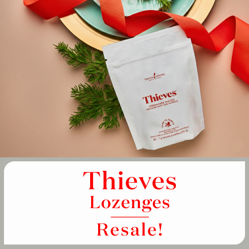 1月26日（金）9：30〜 ヤングシーブス ロージンズ再販のお知らせ