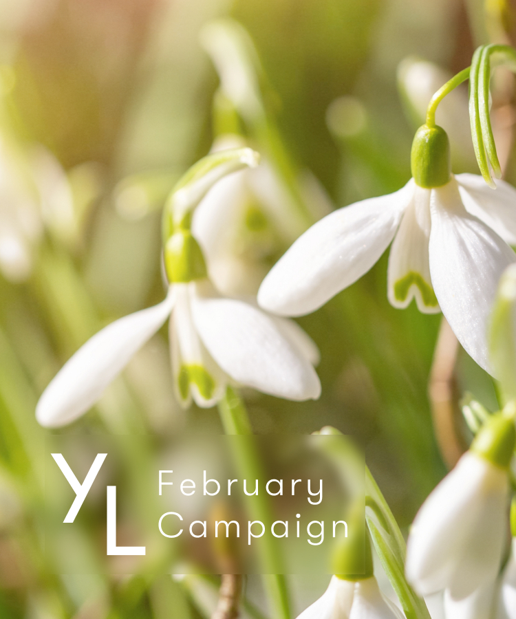 2月YLおトク便限定キャンペーン