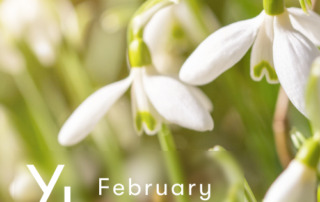 2月YLおトク便限定キャンペーン