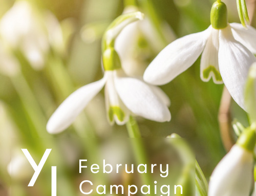 2月1日（日）〜25日（水）YLおトク便限定キャンペーン｜前向きな気持ちを育ててくれる3つの香り