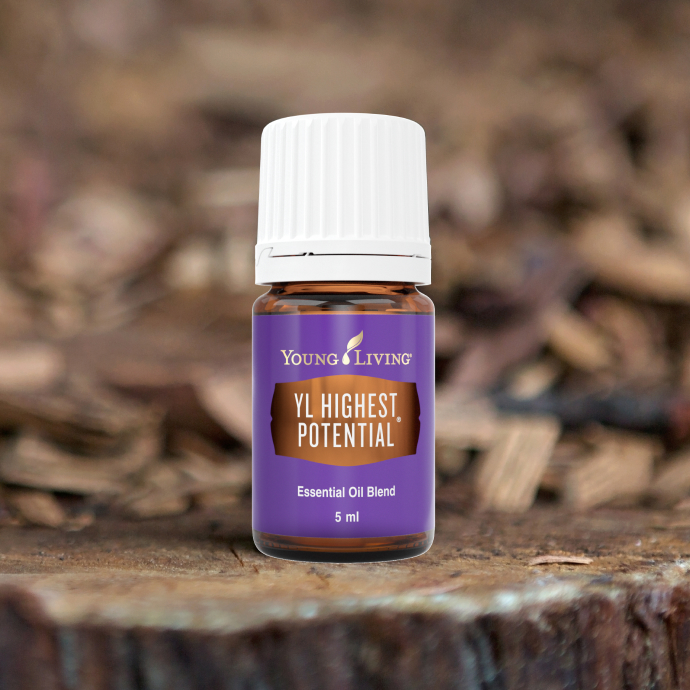 337305-02 YL ハイエスト ポテンシャル