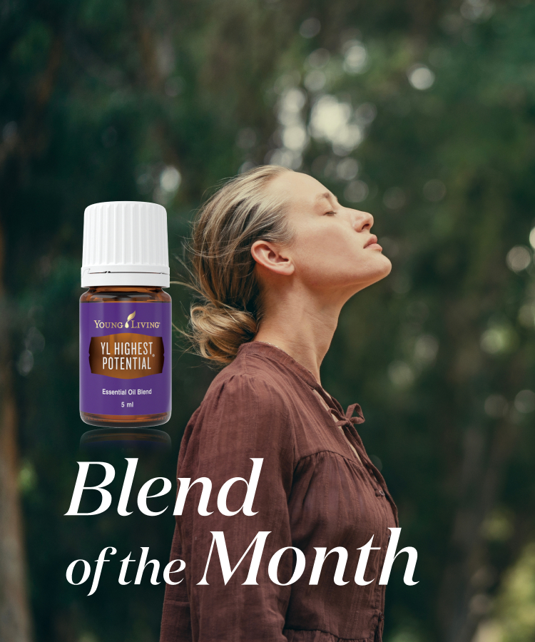 Blend of the Month 2~3月|最高の可能性を生きる