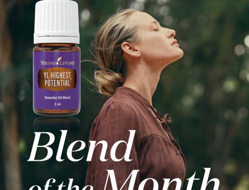 Blend of the Month 2～3月｜最高の可能性を生きる