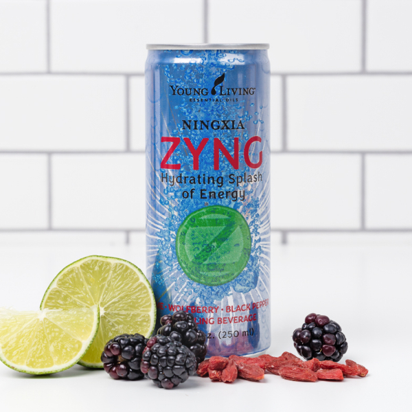 3071-NingXia-Zyng ニンシアジング