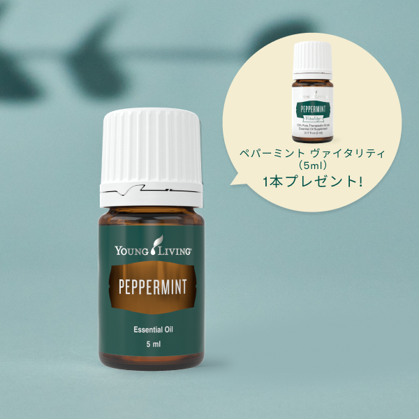 361305-562805-peppermint