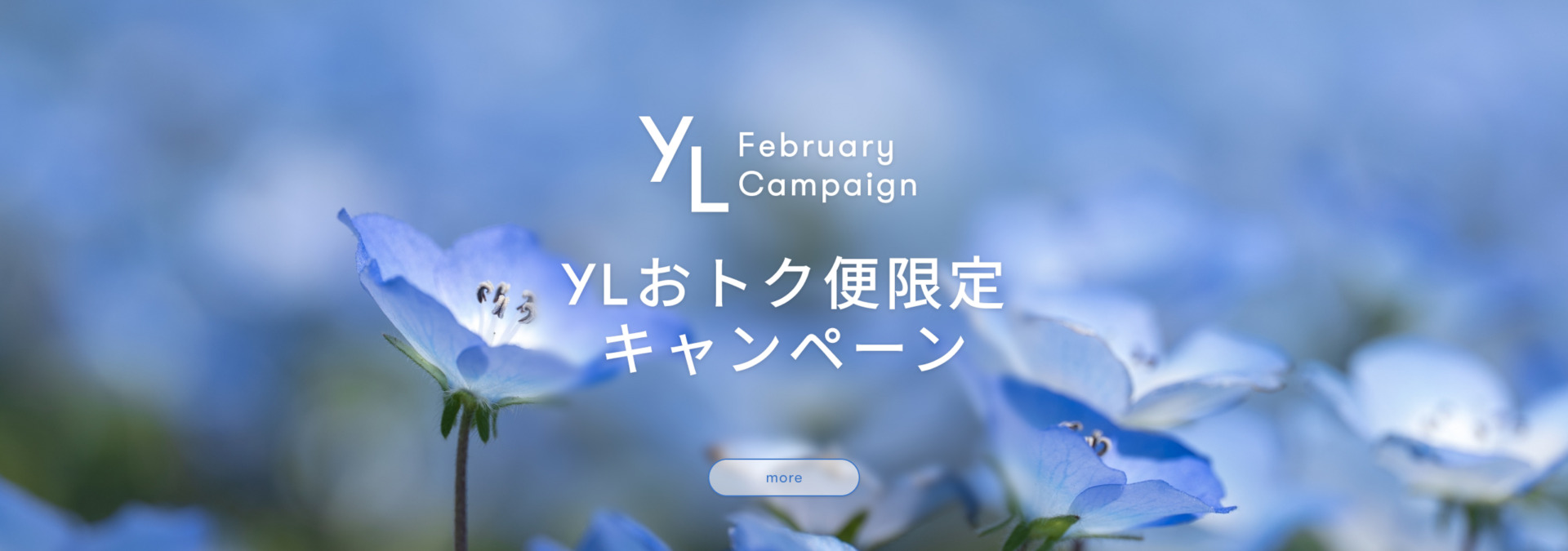 YL OTOKUBIN