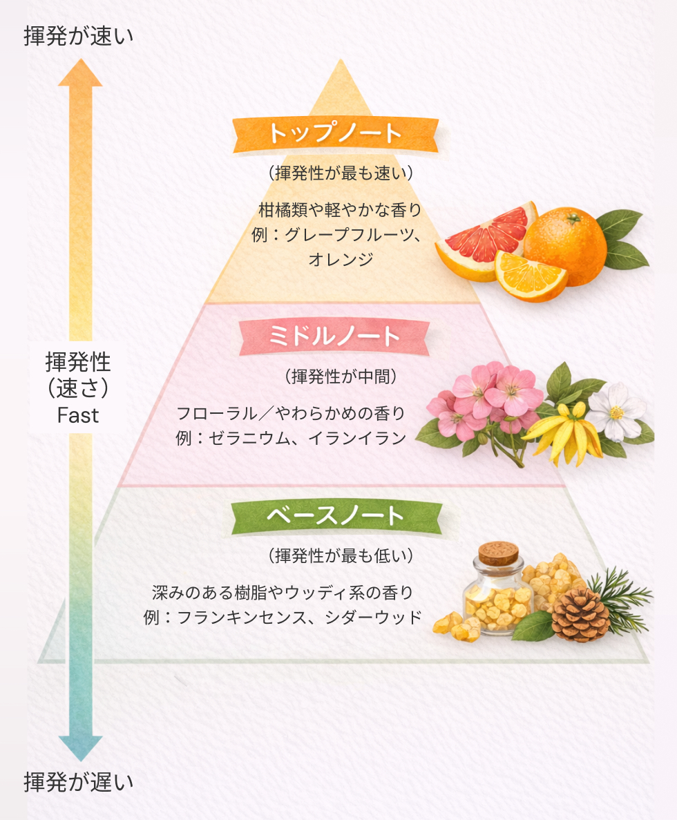 fragrance-changes-volatility-img 香水にも共通する「香りのピラミッド」