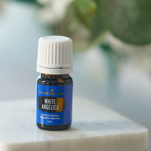 white-angelica YL ホワイトアンジェリカ