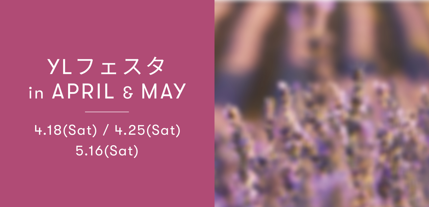 YLフェスタ4-5月のご案内 ｜ アロマ体験型イベント・YLフェスタを開催！