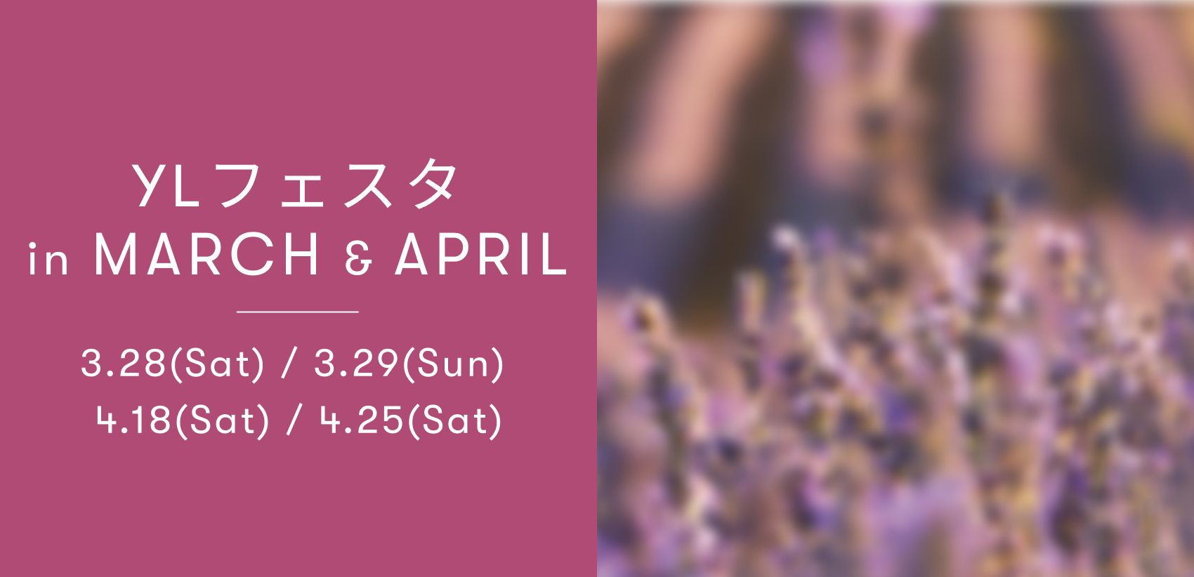 YLフェスタ3~4月のご案内 | アロマ体験型イベント・YLフェスタを開催!