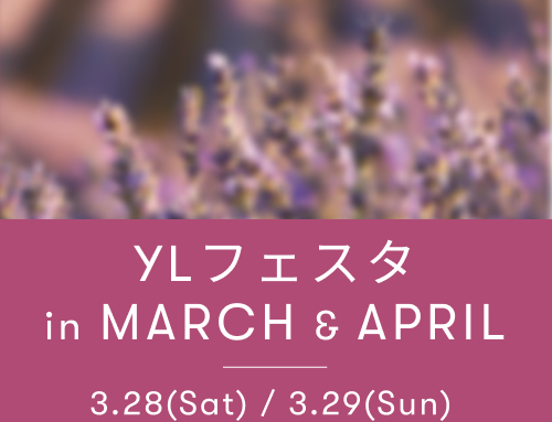 YLフェスタ3~4月のご案内  ｜ アロマ体験型イベント・YLフェスタを開催！