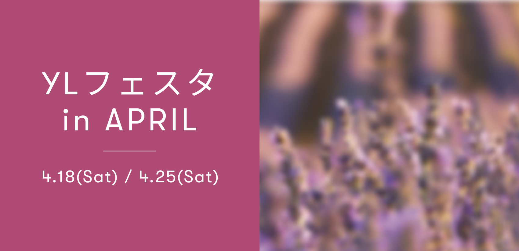 YLフェスタ4月のご案内 ｜ アロマ体験型イベント・YLフェスタを開催！