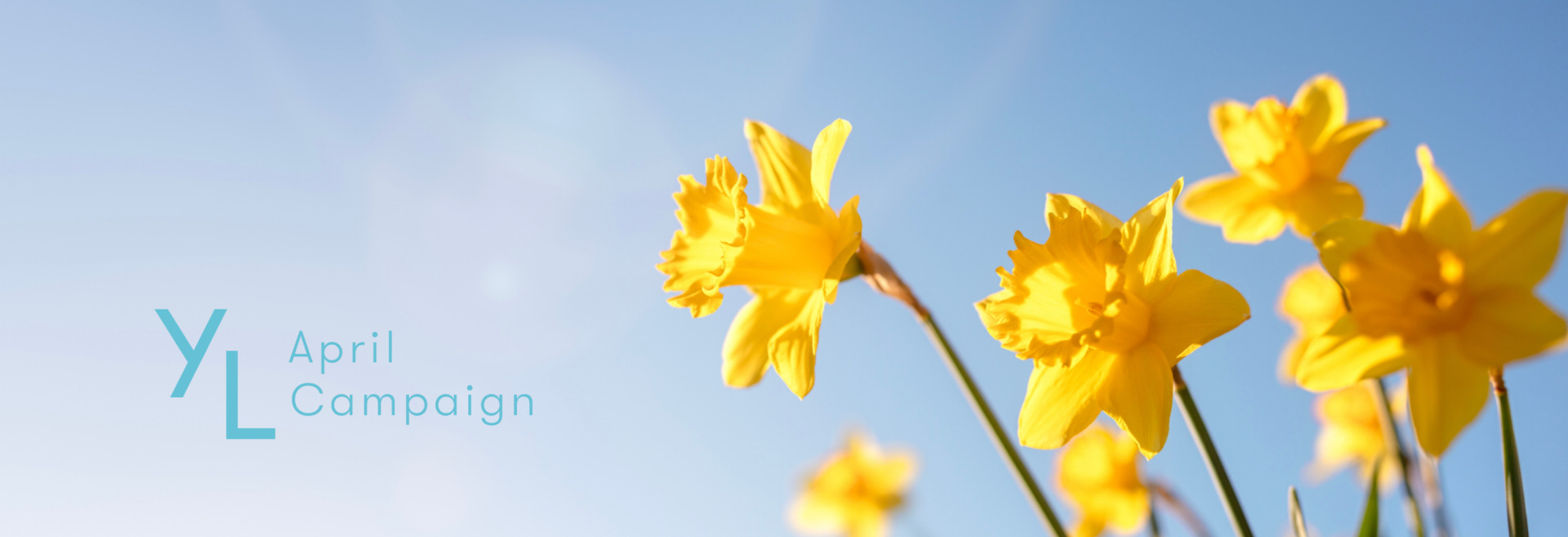 4月1日（水）〜25日（土）YLおトク便限定キャンペーン｜日々のコンディションをトータルでサポートする3製品