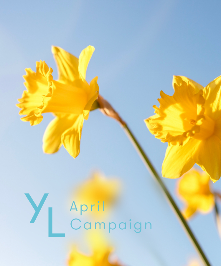 4月1日（水）〜25日（土）YLおトク便限定キャンペーン｜日々のコンディションをトータルでサポートする3製品