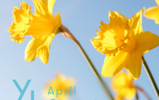 4月1日（水）〜25日（土）YLおトク便限定キャンペーン｜日々のコンディションをトータルでサポートする3製品