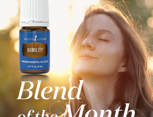 Blend of the Month 4～5月｜本来の自分へと立ち返るための静かな導き