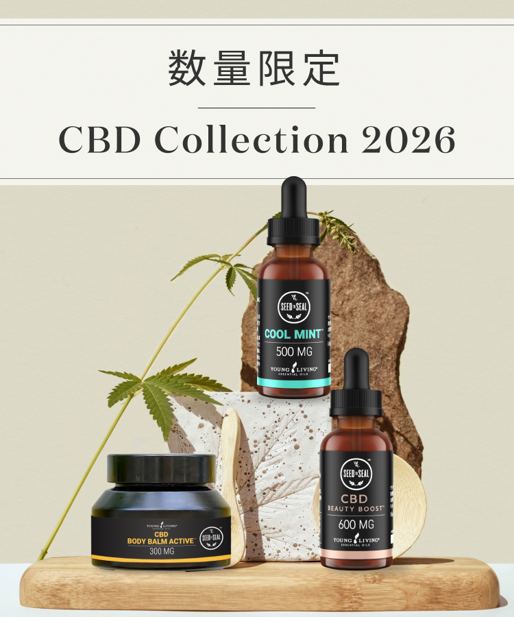 CBD COLLECTION 2026