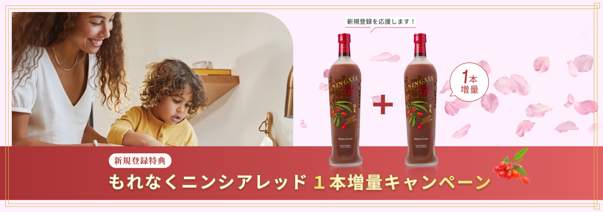 NINGXIA RED CAMPAIGN
