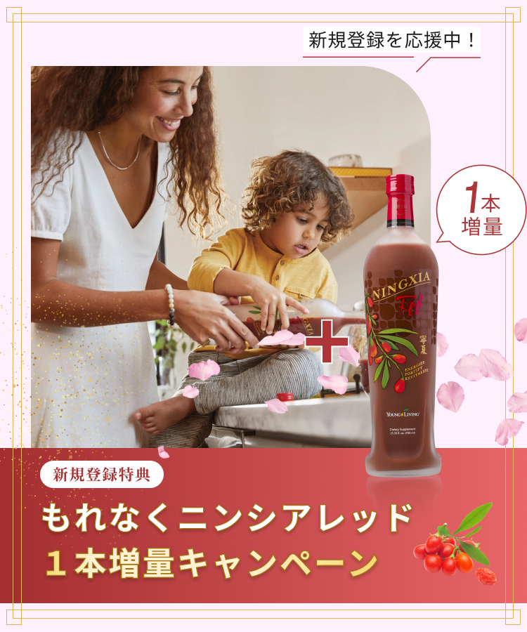 NINGXIA RED CAMPAIGN
