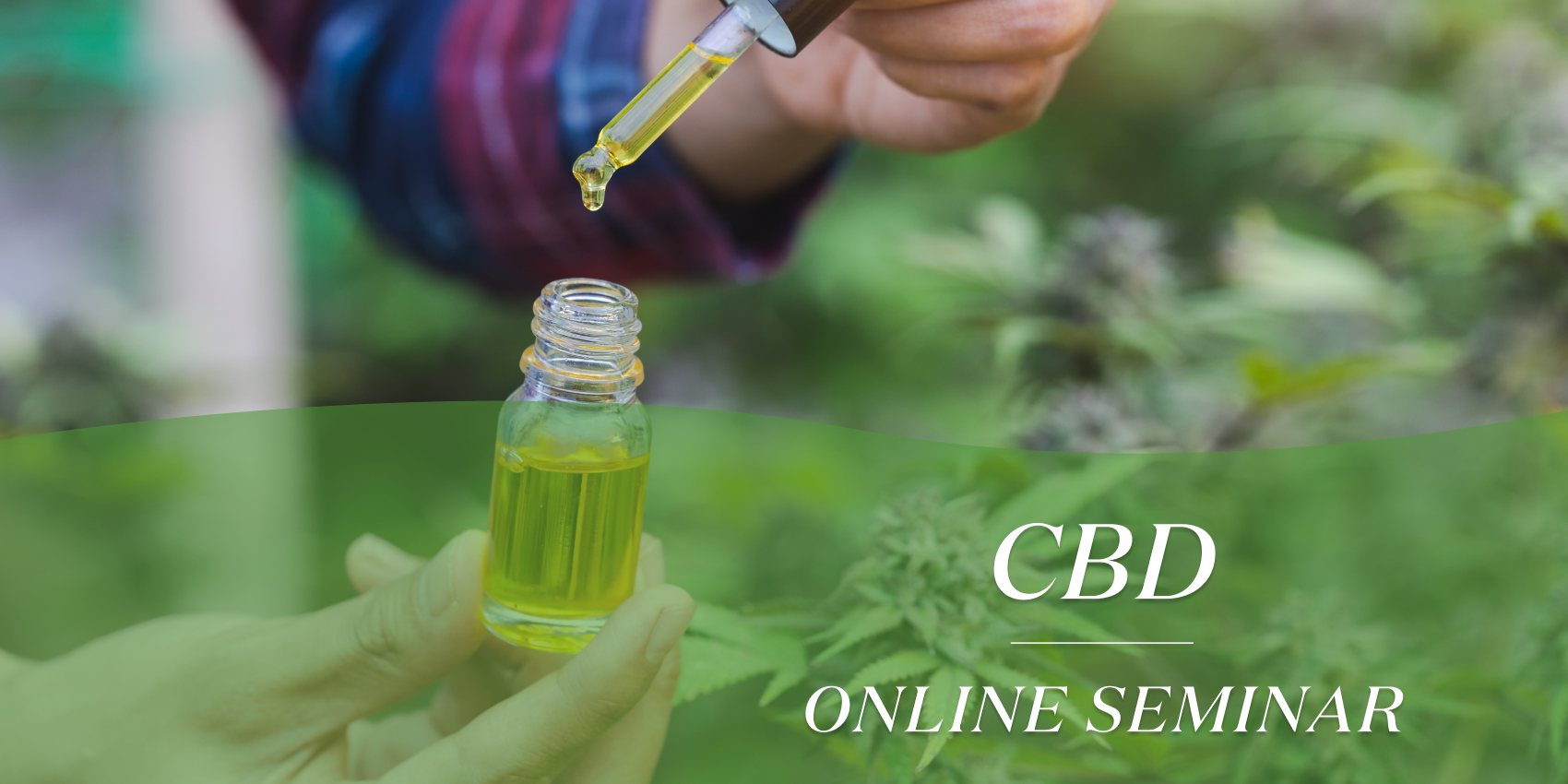 4月23日（木）オンラインセミナーのご案内｜CBDについて基礎からわかりやすく解説