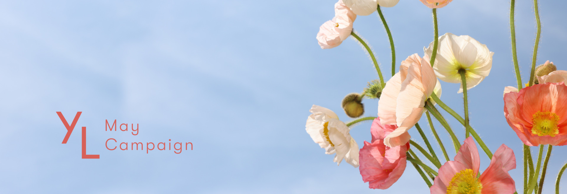 5月1日(金)〜25日(月)YLおトク便限定キャンペーン|定番のアロマオイルとサプリをプレゼント!