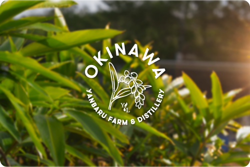 wellness-tips-okinawa-shell-ginger-img-2