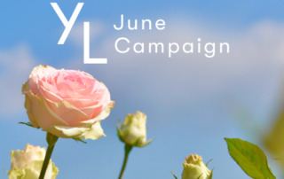 6月1日（月）〜25日（木）YLおトク便限定キャンペーン｜初夏をすっきり軽やかに！