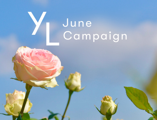 6月1日（月）〜25日（木）YLおトク便限定キャンペーン｜初夏をすっきり軽やかに！