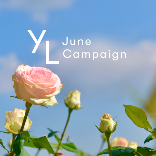 6月1日（月）〜25日（木）YLおトク便限定キャンペーン｜初夏をすっきり軽やかに！