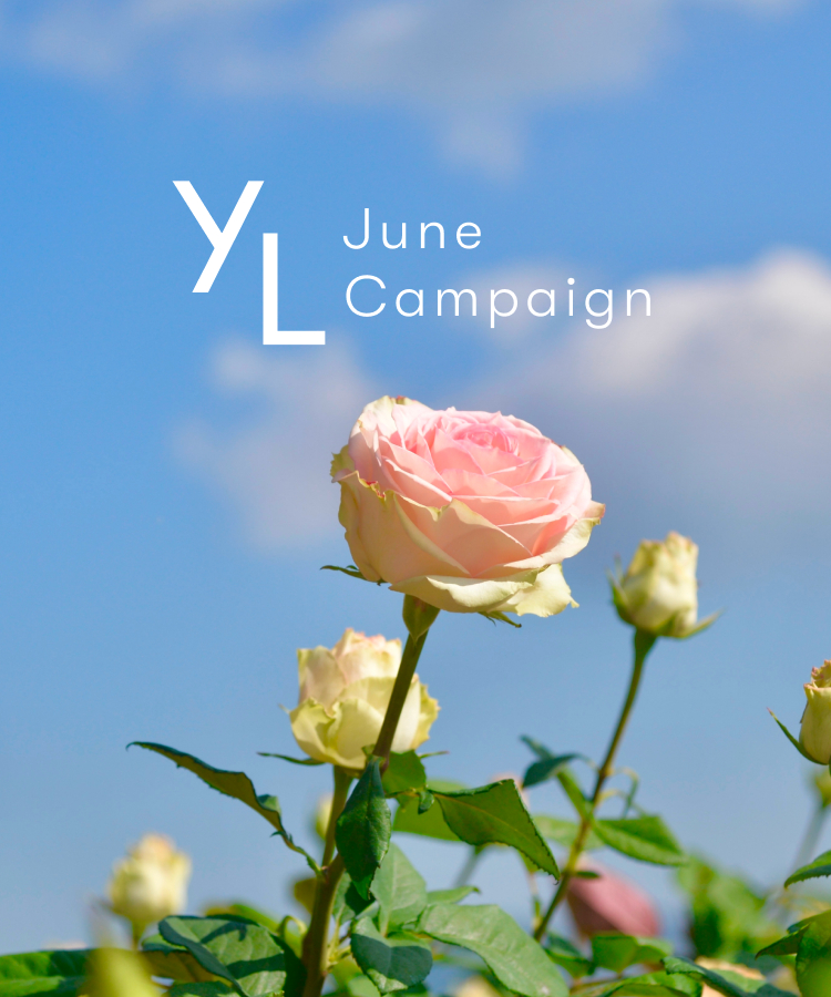 6月1日（月）〜25日（木）YLおトク便限定キャンペーン｜初夏をすっきり軽やかに！