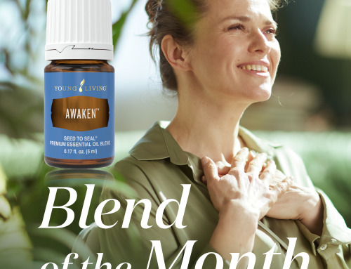 Blend of the Month 6～7月｜心の目覚め