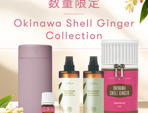 沖縄月桃コレクション限定発売｜沖縄月桃の恵みを暮らしの中へ