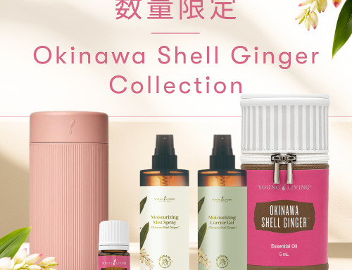 沖縄月桃コレクション限定発売｜沖縄月桃の恵みを暮らしの中へ