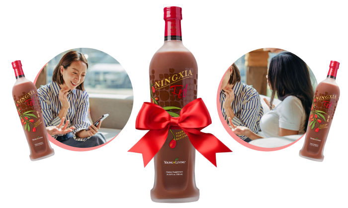ningxia-red-campaign-deluxe-img