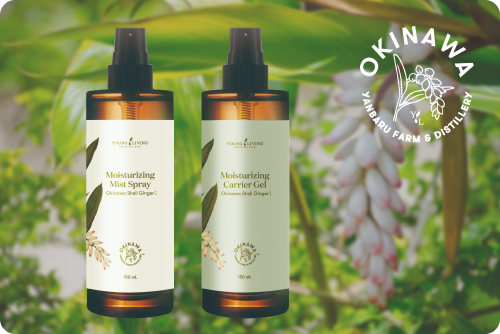 wellness-tips-okinawa-shell-ginger-img-06