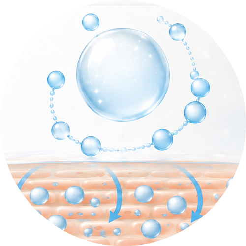 wellness-tips-okinawa-shell-ginger-img-10 【STEP2】 PCA-Naが水分をつなぎとめる