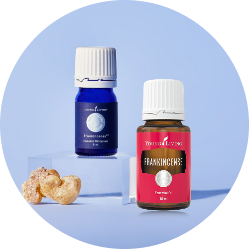 wellness-tips-okinawa-shell-ginger-img-oil2 フランキンセンスとディープススペクトラ フランキンセンス2